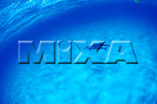 MIXA IMAGE LIBRARY vol.166 %%p^Cg%% CJ