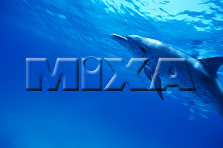 MIXA IMAGE LIBRARY vol.166 %%p^Cg%% CJ