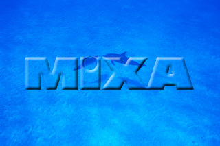 MIXA IMAGE LIBRARY vol.166 %%英字タイトル%% イルカ