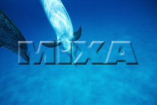 MIXA IMAGE LIBRARY vol.166 %%p^Cg%% CJ