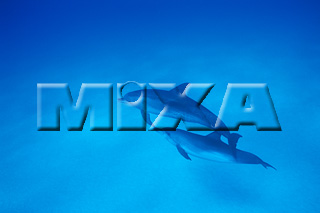 MIXA IMAGE LIBRARY vol.166 %%p^Cg%% CJ