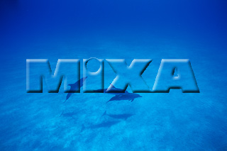 MIXA IMAGE LIBRARY vol.166 %%p^Cg%% CJ