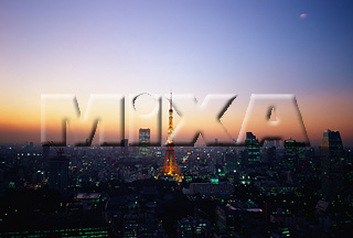 MIXA IMAGE LIBRARY vol.167 %%p^Cg%% V