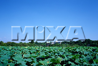 MIXA IMAGE LIBRARY vol.168 %%p^Cg%% X^_[h