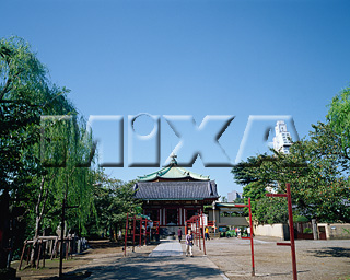 MIXA IMAGE LIBRARY vol.168 %%p^Cg%% X^_[h