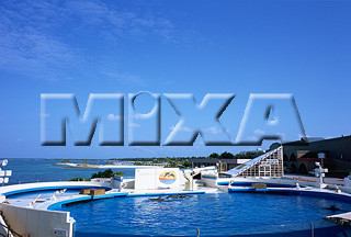 MIXA IMAGE LIBRARY vol.169 %%p^Cg%% 