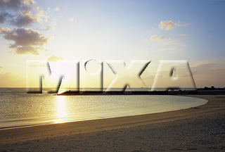 MIXA IMAGE LIBRARY vol.169 %%p^Cg%% 