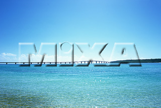 MIXA IMAGE LIBRARY vol.169 %%p^Cg%% 