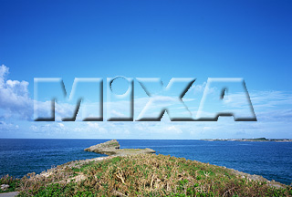 MIXA IMAGE LIBRARY vol.169 %%p^Cg%% 