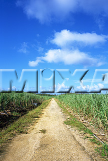 MIXA IMAGE LIBRARY vol.169 %%p^Cg%% 