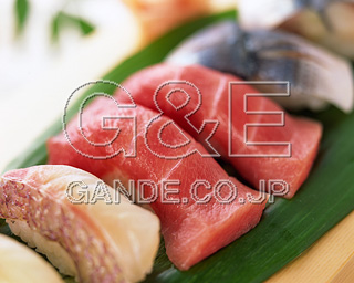 MIXA IMAGE LIBRARY vol.173 Sushi,Fish &Seafood iEhgE