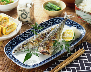 MIXA IMAGE LIBRARY vol.173 Sushi,Fish &Seafood iEhgE