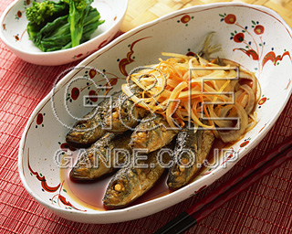 MIXA IMAGE LIBRARY vol.173 Sushi,Fish &Seafood iEhgE