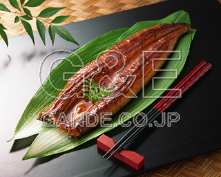 MIXA IMAGE LIBRARY vol.173 Sushi,Fish &Seafood iEhgE