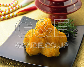 MIXA IMAGE LIBRARY vol.174 New Year Dishes 