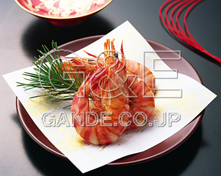 MIXA IMAGE LIBRARY vol.174 New Year Dishes 