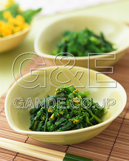 MIXA IMAGE LIBRARY %%p^Cg%% Vol.176 t̗ 2