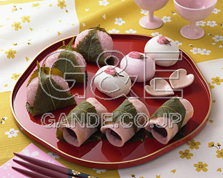 MIXA IMAGE LIBRARY %%p^Cg%% Vol.176 t̗ 2