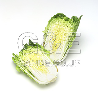 MIXA IMAGE LIBRARY %%p^Cg%% Vol.177 G߂̖؂Ɖʎ 