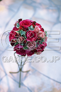 MIXA IMAGE LIBRARY %%p^Cg%% Vol.181 uC_Eӂ
