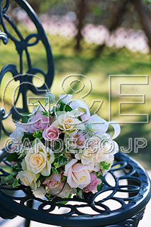 MIXA IMAGE LIBRARY %%p^Cg%% Vol.181 uC_Eӂ