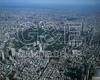 MIXA IMAGE LIBRARY %%p^Cg%% Vol.185 BETOKYO