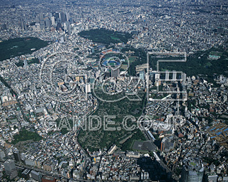 MIXA IMAGE LIBRARY %%p^Cg%% Vol.185 BETOKYO