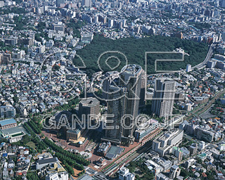 MIXA IMAGE LIBRARY %%p^Cg%% Vol.185 BETOKYO