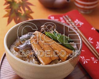 MIXA IMAGE LIBRARY %%p^Cg%% Vol.192 H̗