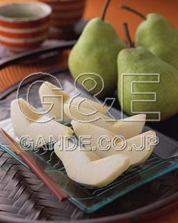 MIXA IMAGE LIBRARY %%p^Cg%% Vol.192 H̗