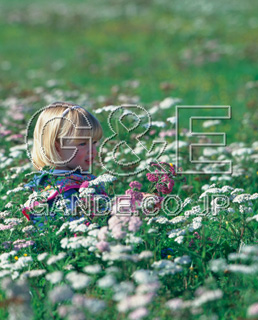 Osamu Nishikawa Series 01 Children and Flowers CO̎quԂƎqv