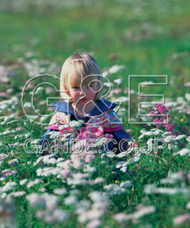 Osamu Nishikawa Series 01 Children and Flowers CO̎quԂƎqv