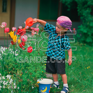 Osamu Nishikawa Series 01 Children and Flowers CO̎quԂƎqv