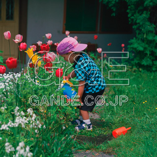 Osamu Nishikawa Series 01 Children and Flowers CO̎quԂƎqv