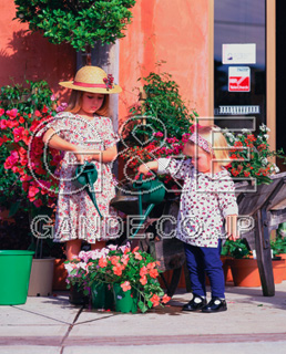 Osamu Nishikawa Series 01 Children and Flowers CO̎quԂƎqv