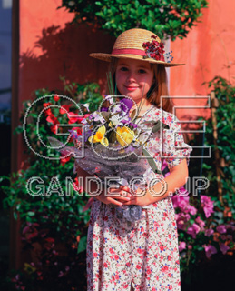 Osamu Nishikawa Series 01 Children and Flowers CO̎quԂƎqv