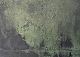 ʐ^fށ@tHgrbg@2/2001_054.jpg