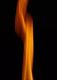 ʐ^fށ@tHgrbg@2/2007_066.jpg
