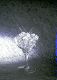 ʐ^fށ@tHgrbg@2/2008_017.jpg