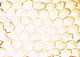 ʐ^fށ@tHgrbg@2/2008_030.jpg