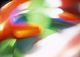 ʐ^fށ@tHgrbg@2/2008_070.jpg