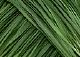 ʐ^fށ@tHgrbg@2/2009_018.jpg