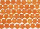 ʐ^fށ@tHgrbg@2/2009_087.jpg