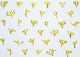ʐ^fށ@tHgrbg@2/2010_048.jpg