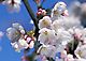 ʐ^fށ@tHgrbg@2/2016_001.JPG