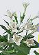 ʐ^fށ@tHgrbg@2/2017_079.jpg