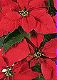ʐ^fށ@tHgrbg@2/2019_046.jpg