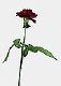 ʐ^fށ@tHgrbg@2/2020_032.jpg
