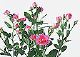 ʐ^fށ@tHgrbg@2/2020_059.jpg