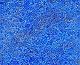 m/bg0315.jpg